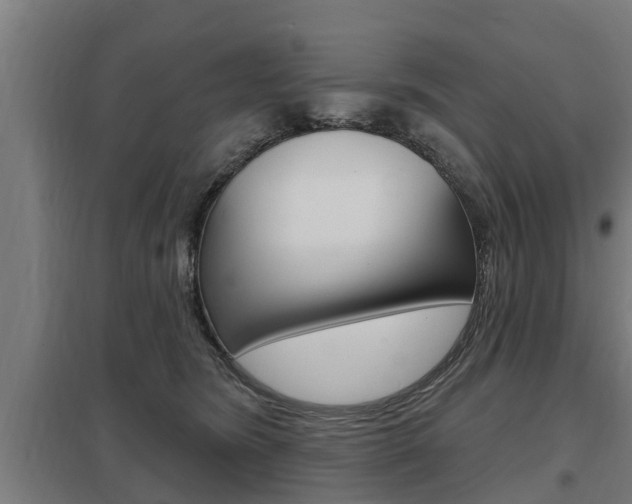 X0000098030420200803280735