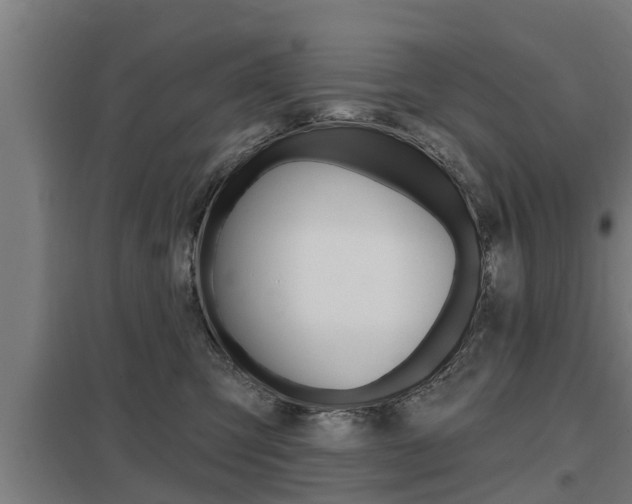 X0000098030423200803280735