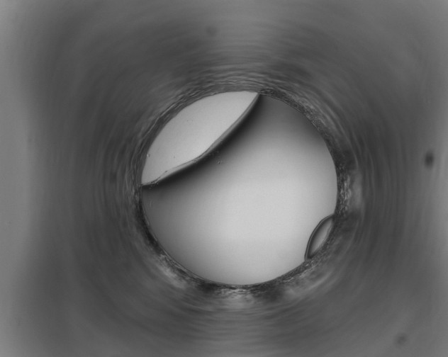 X0000098030424200803280735
