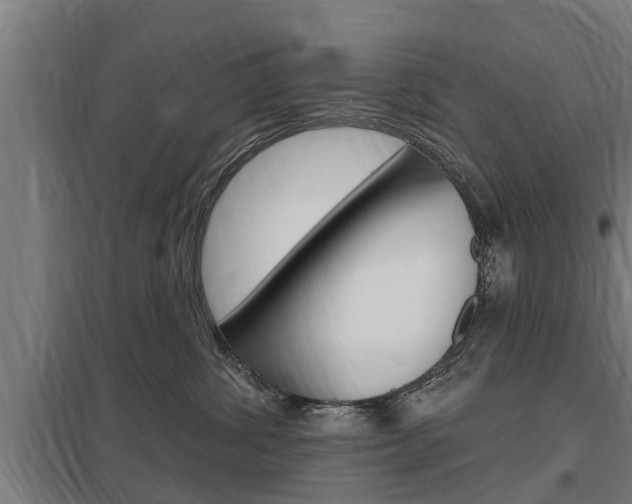 X0000098030428200803280735