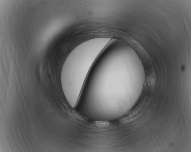 X0000098030429200803280735