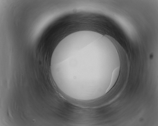 X0000098030431200803280735