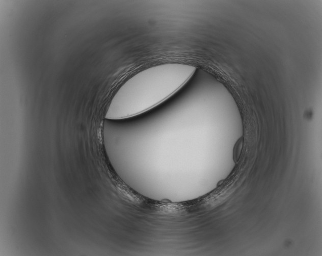 X0000098030432200803280735