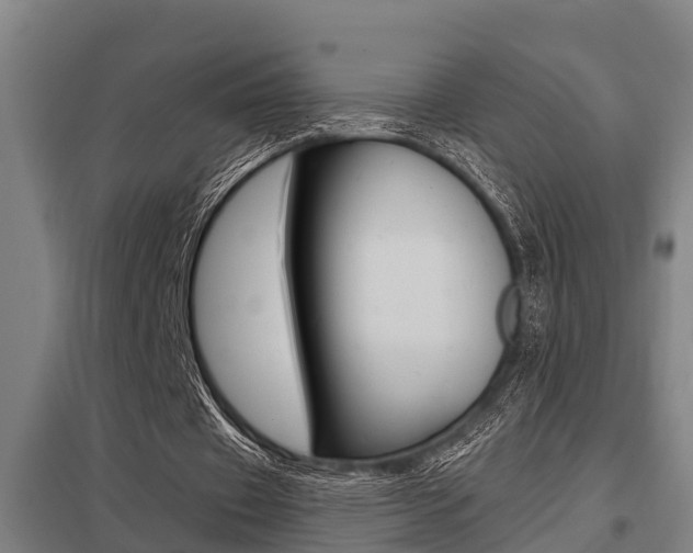 X0000098030433200803280735