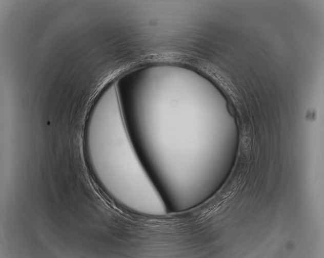 X0000098030434200803280735