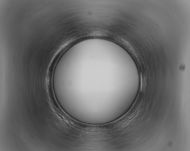 X0000098030435200803280735