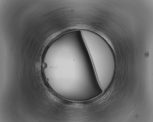 X0000098030437200803280735