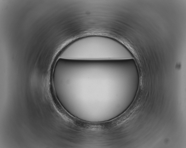 X0000098030438200803280735