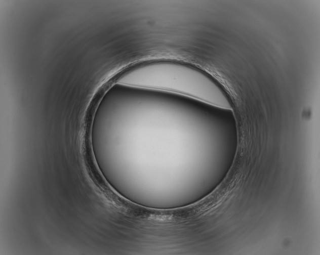 X0000098030440200803280735