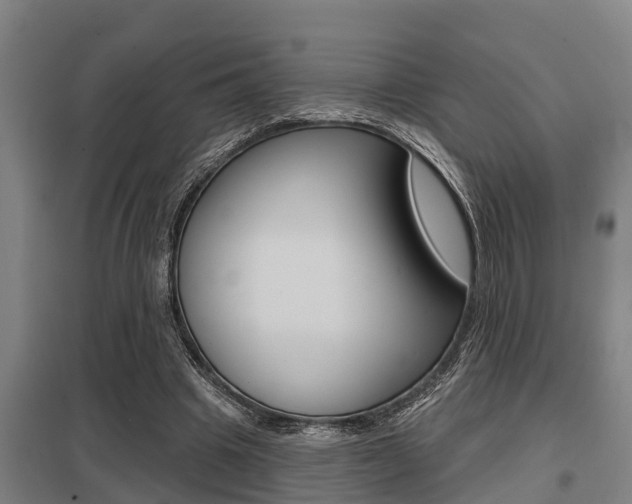 X0000098030441200803280735