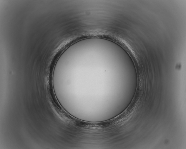 X0000098030443200803280735