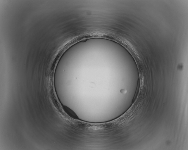 X0000098030444200803280735
