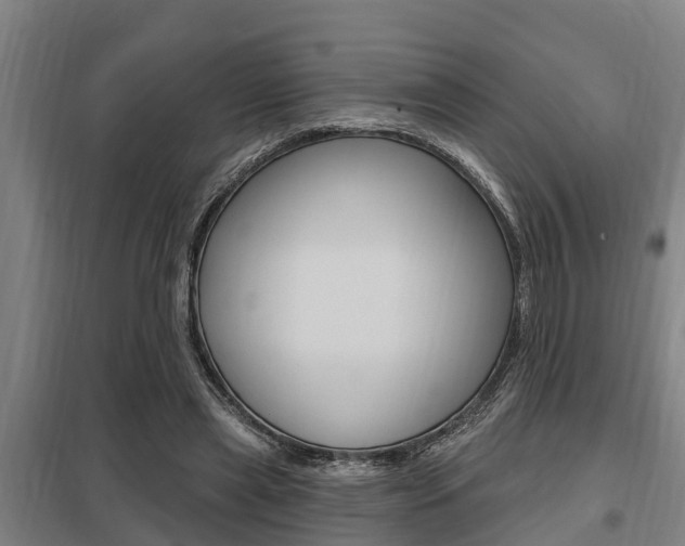 X0000098030445200803280735