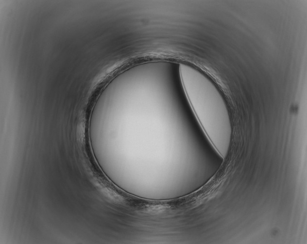 X0000098030446200803280735