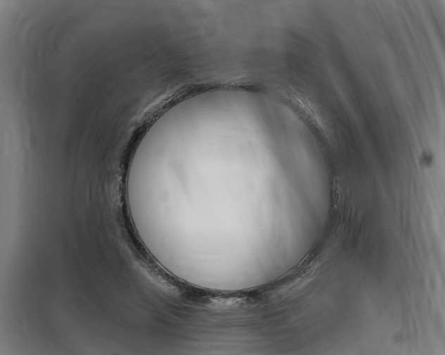 X0000098030450200803280735