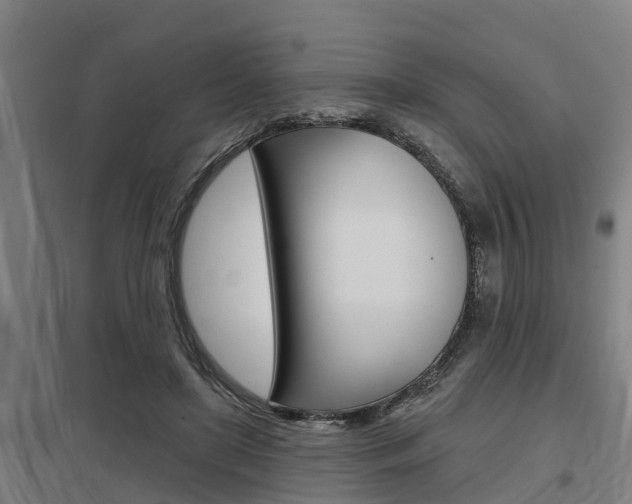 X0000098030451200803280735