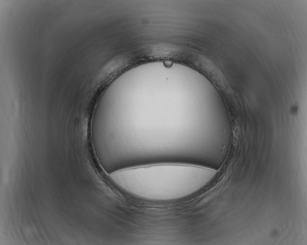 X0000098030454200803280735