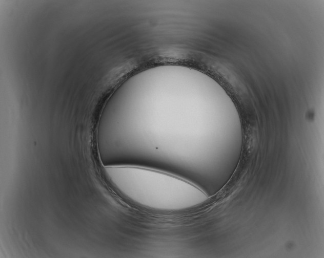 X0000098030455200803280735
