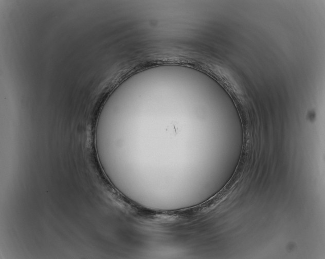 X0000098030457200803280735