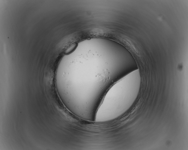 X0000098030458200803280735