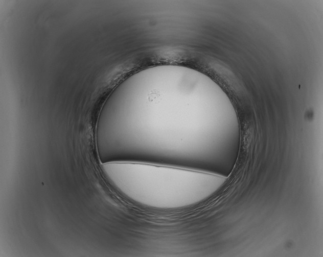 X0000098030459200803280735