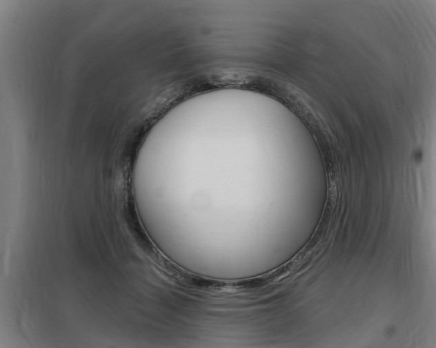 X0000098030460200803280735