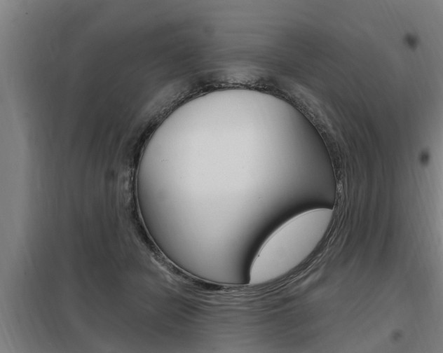 X0000098030462200803280735
