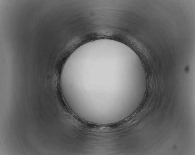 X0000098030463200803280735