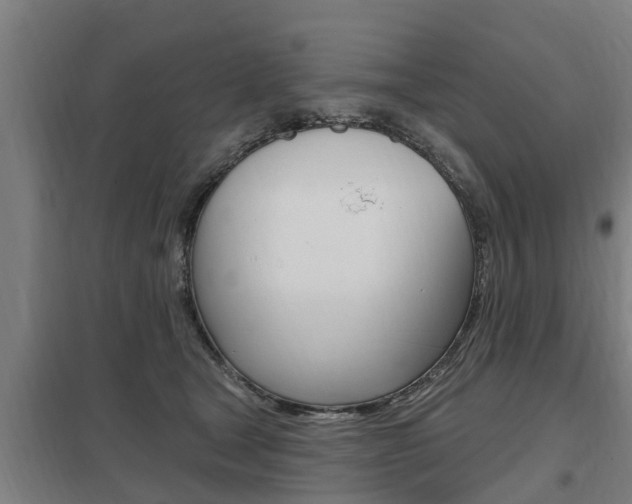 X0000098030465200803280735