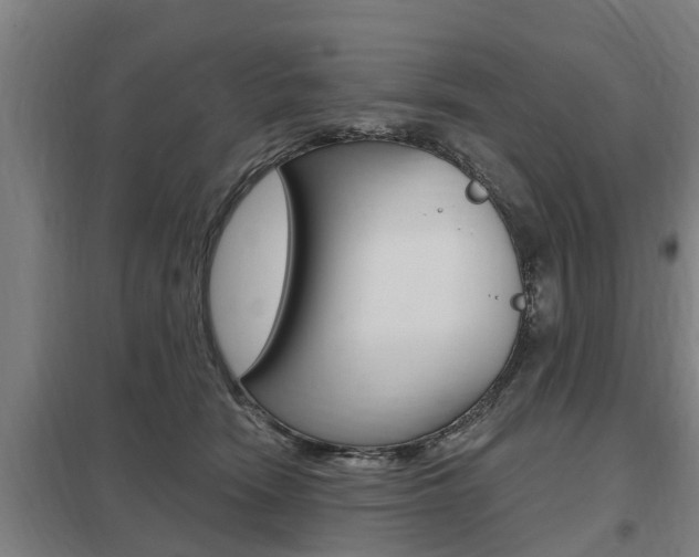 X0000098030466200803280735