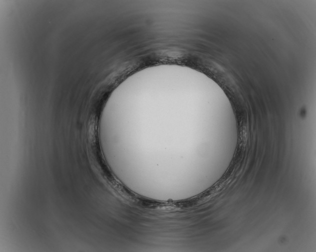 X0000098030468200803280735