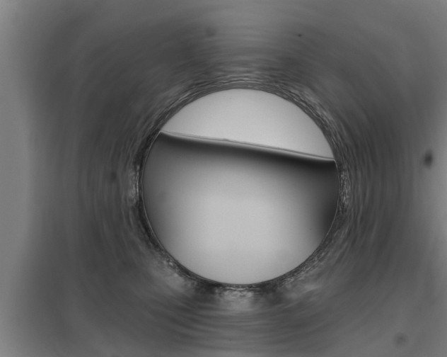 X0000098030471200803280735