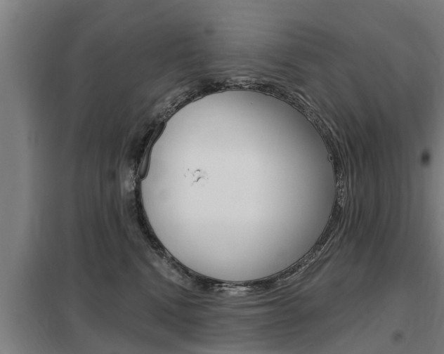 X0000098030472200803280735