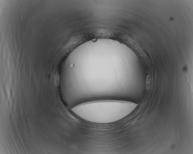 X0000098030474200803280735