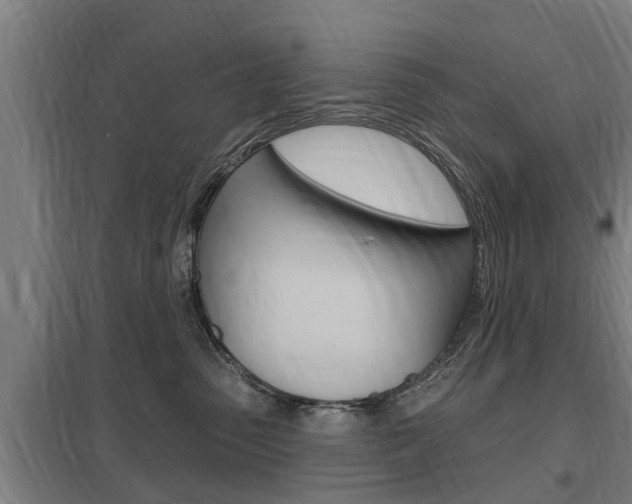 X0000098030475200803280735