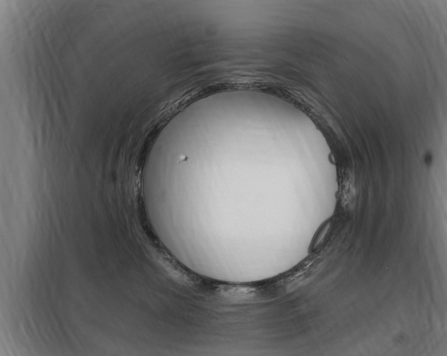 X0000098030476200803280735