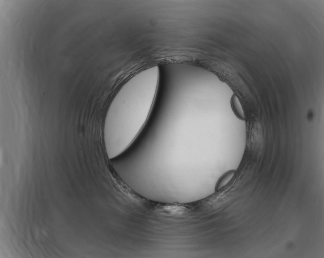 X0000098030478200803280735