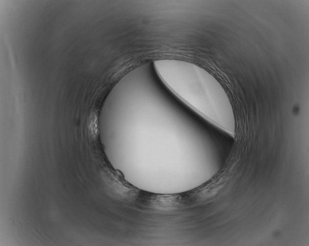X0000098030479200803280735