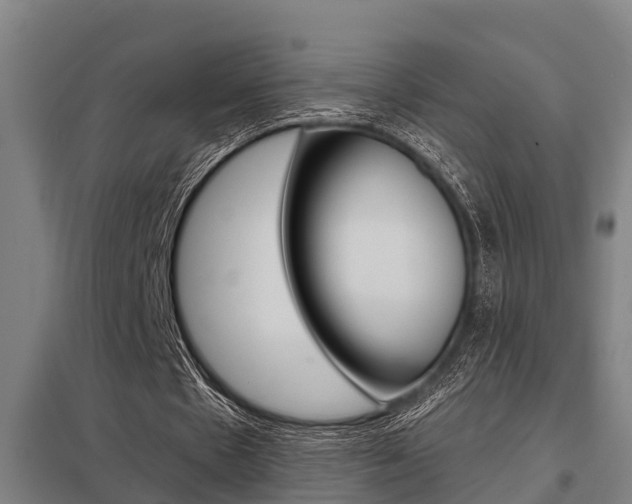 X0000098030481200803280735