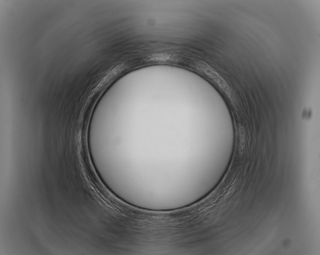 X0000098030482200803280735