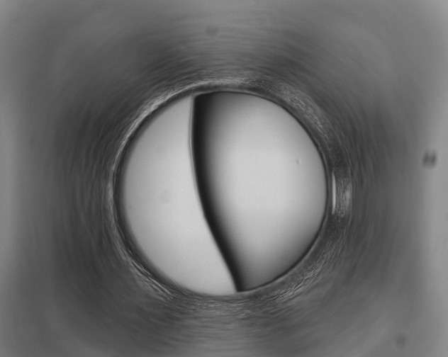 X0000098030483200803280734