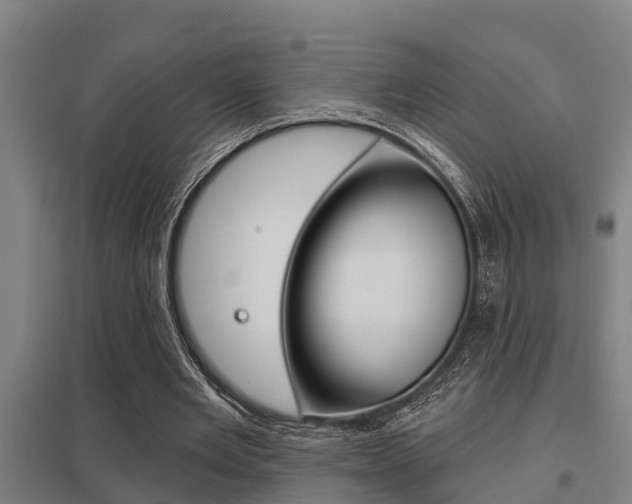 X0000098030485200803280734