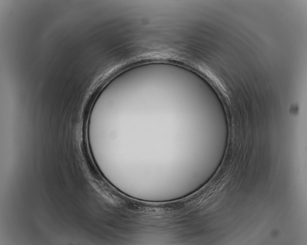 X0000098030486200803280734