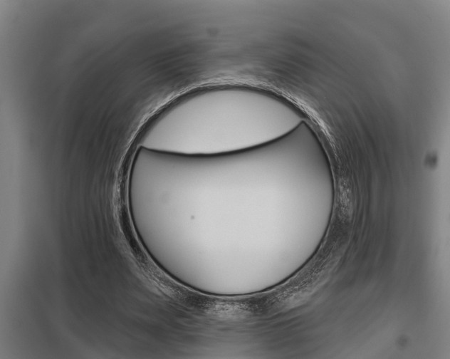 X0000098030487200803280734