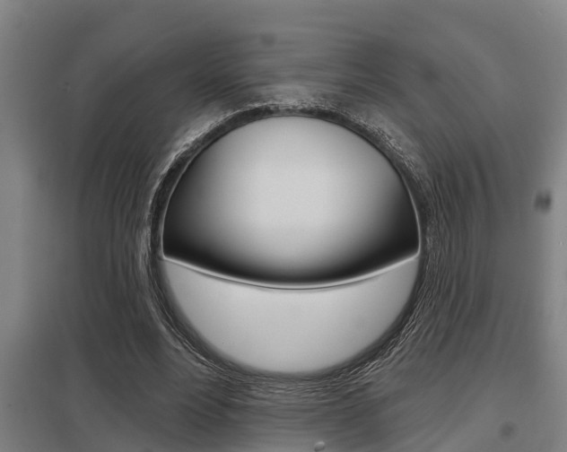 X0000098030488200803280734