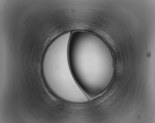 X0000098030489200803280734