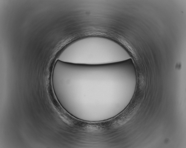 X0000098030490200803280734