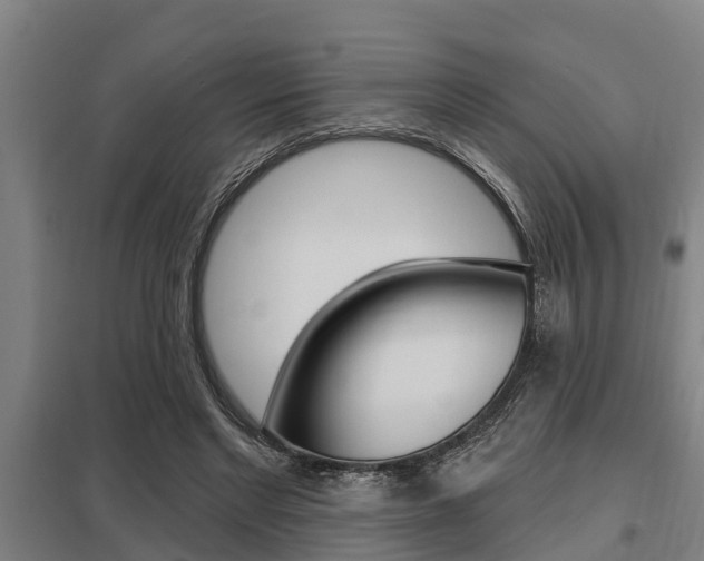 X0000098030493200803280734
