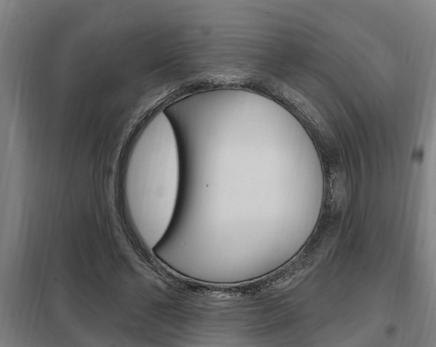 X0000098030494200803280734