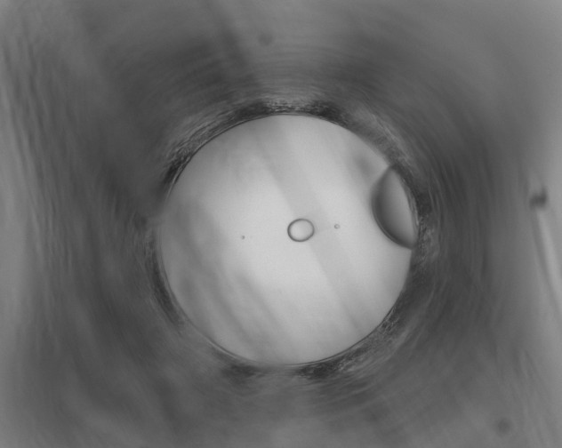 X0000098030498200803280734